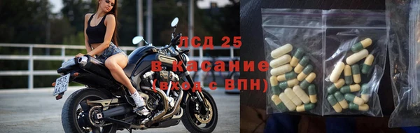 спиды Аркадак