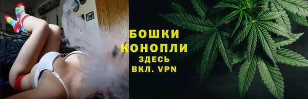 мет Арсеньев