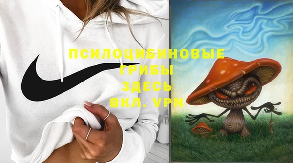 гашик Заводоуковск