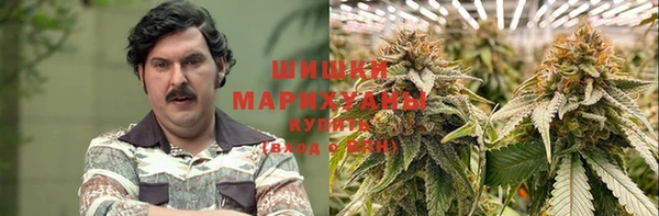 дурь Елабуга