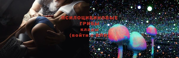 спиды Аркадак