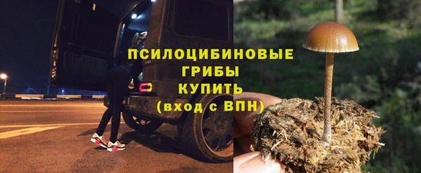 спиды Аркадак