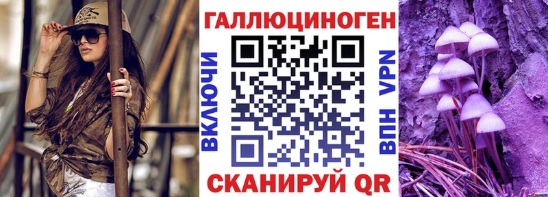 купить закладку  kraken маркетплейс  Галлюциногенные грибы MAGIC MUSHROOMS  Тайга 